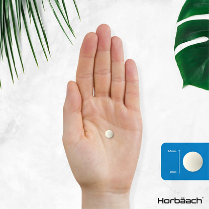 Vitamin K2 MK7 200ug | 365 Vegan Tablets | High Strength Menaquinone MK-7 HorbäachBuy Supplements Australia
