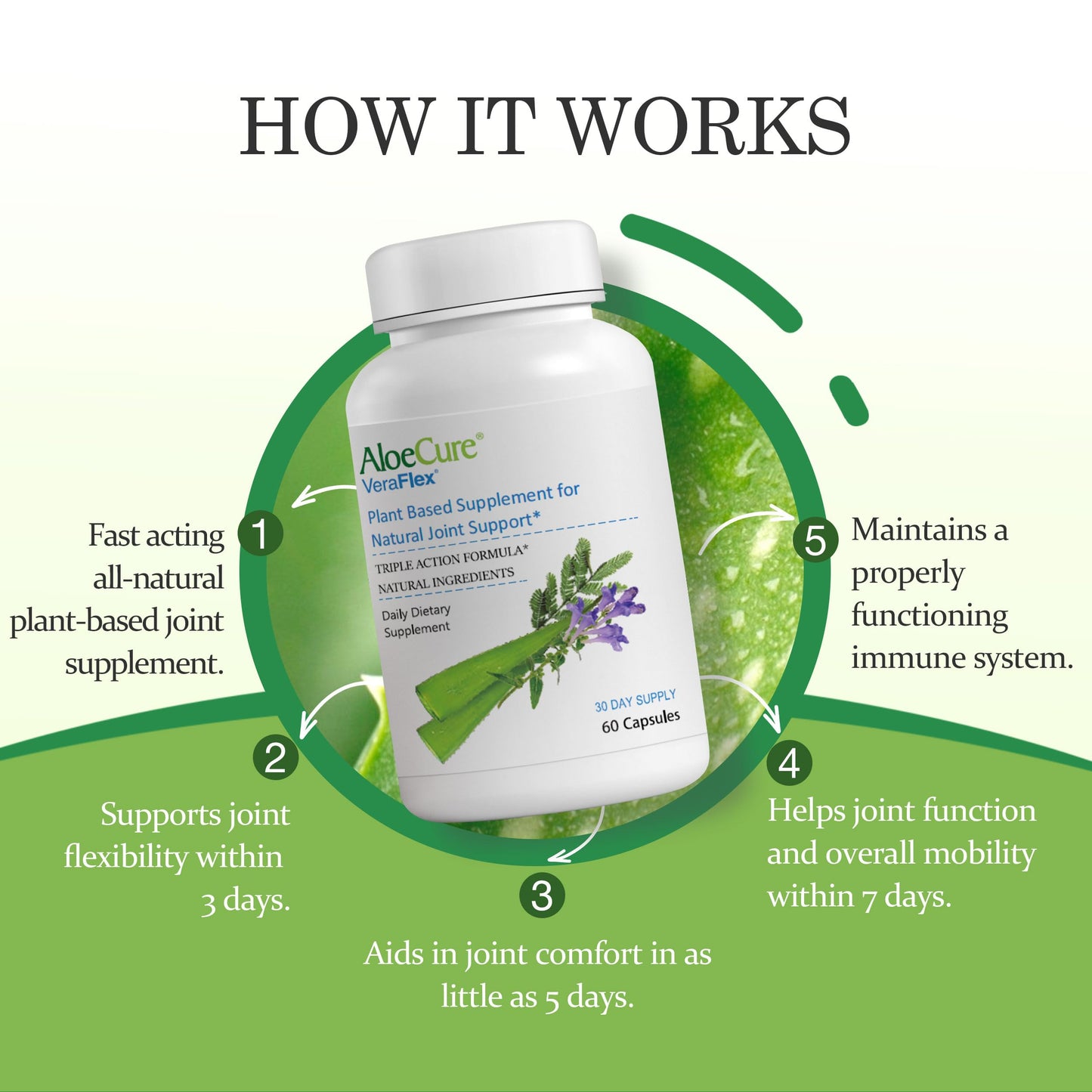 AloeCure VeraFlex Natural Joint Health, 60 Capsules, Clinically Tested Natural Plant-Based Formula to Support Comfort, Mobility and Flexibility - Featuring Organic Aloe Vera, 3-Pack AloeCureBuy Supplements Australia