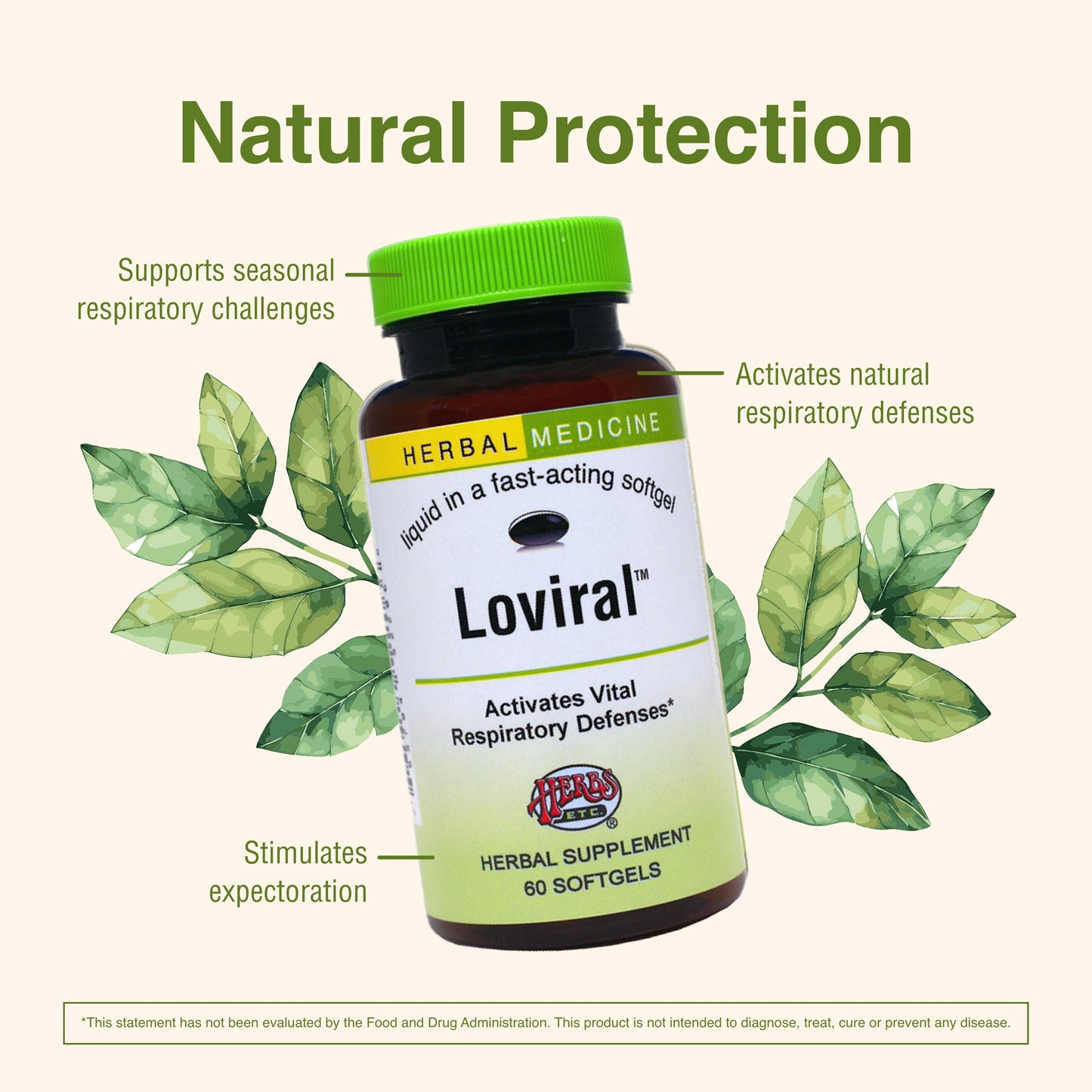 Herbs Etc. Loviral - Lung Health Supplement for Respiratory Defense & Support - Herbal Supplement with Lomatium, Pelargonium & OSHA - Gluten-Free - 60 Softgels (60 Servings) Herbs Etc.Buy Supplements Australia