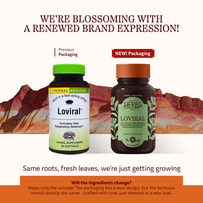 Herbs Etc. Loviral - Lung Health Supplement for Respiratory Defense & Support - Herbal Supplement with Lomatium, Pelargonium & OSHA - Gluten-Free - 60 Softgels (60 Servings) Herbs Etc.Buy Supplements Australia