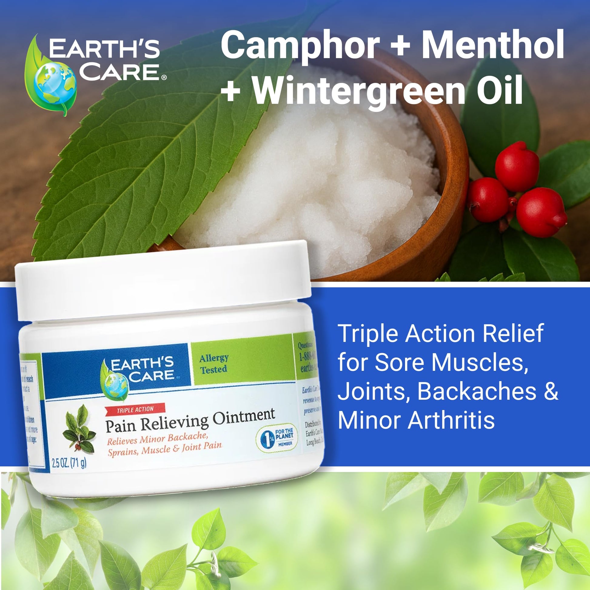 Earth's Care Triple Action Pain Relieving Ointment, No Parabens, Colors or Fragrances, Allergy-Tested 2.5 OZ. (2 Jars) Earth's CareBuy Supplements Australia