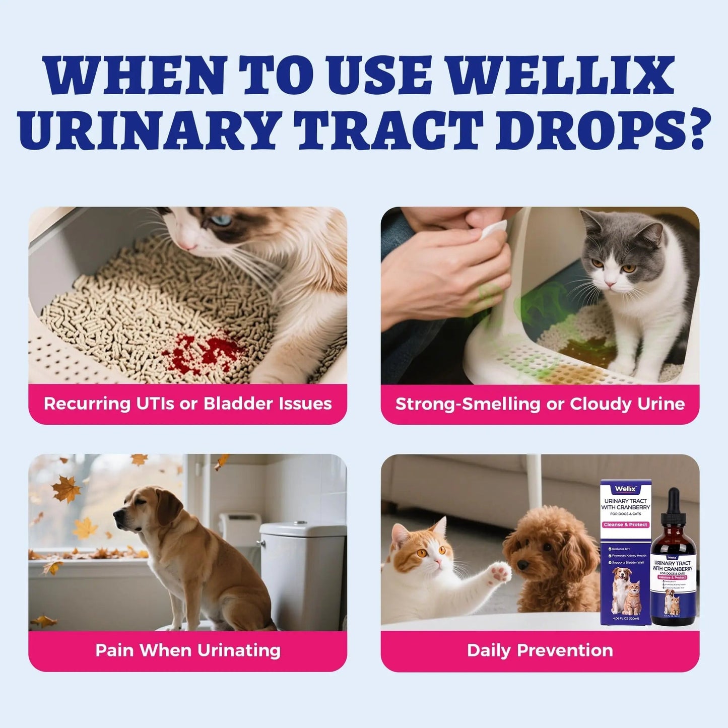 4oz Wellix Natural Cat & Dog UTI Treatment Drops,Cat & Dog Urinary Tract Infection Treatment - Cranberry & D-Mannose for Dogs & Cats - Kidney Health Supplement WellixBuy Supplements Australia