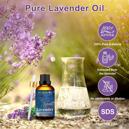 BURIBURI Lavender Essential Oil 100ML, 100% Pure Undiluted, Natural, Organic Aromatherapy Oil Lavender Oils BURIBURIBuy Supplements Australia