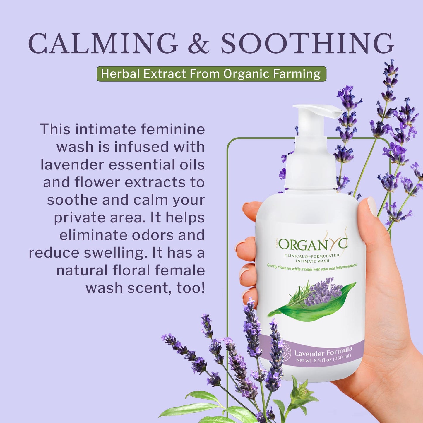Organic Intimate Wash with Lavender Essential Oils & Flower Extracts, Gentle Cleansing Feminine OrganycBuy Supplements Australia