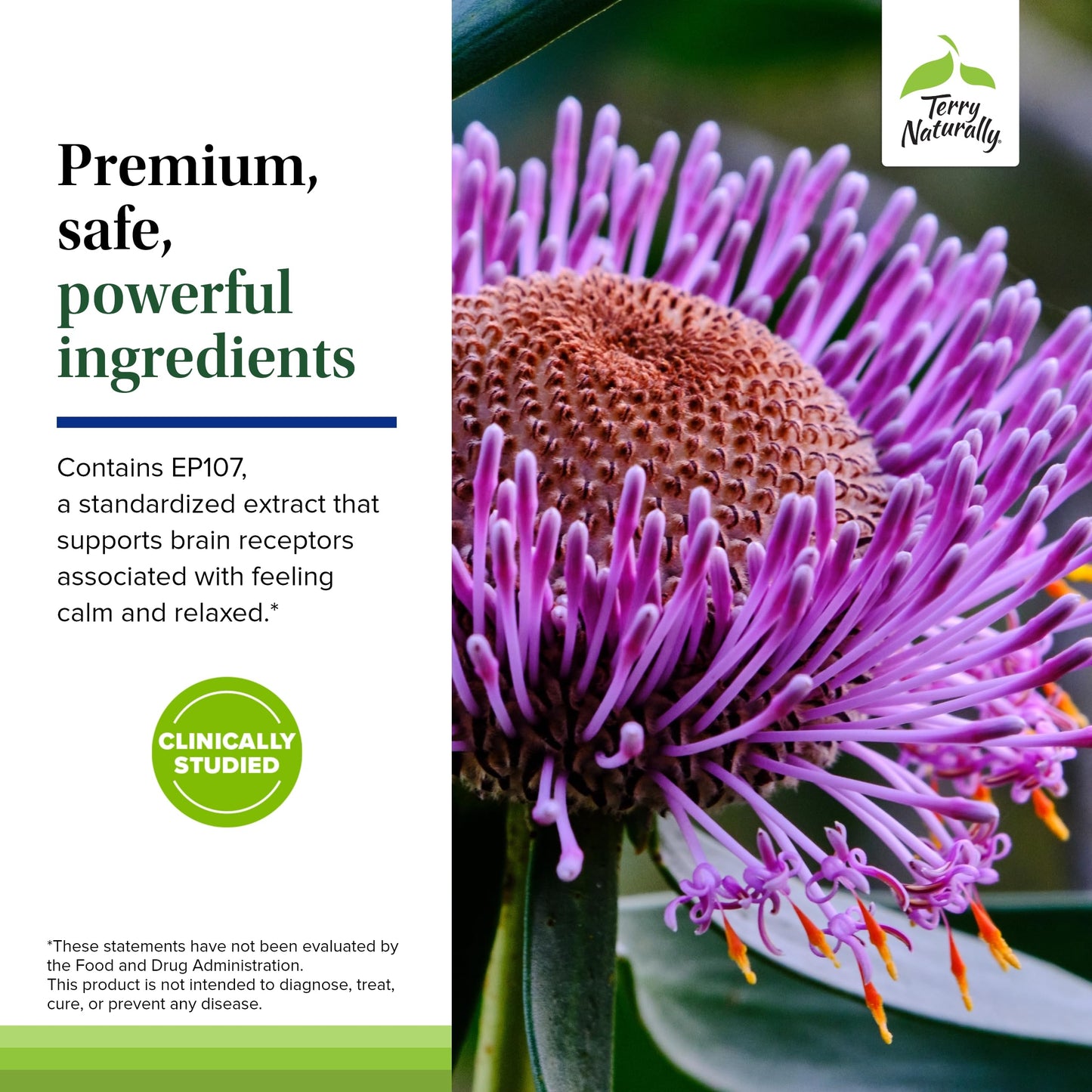 Terry Naturally AnxioCalm - Calming Support Supplement - Supports Against Occasional Tension & Aids Calm Feelings with Narrow-Leaved Coneflower - Non-Drowsy Supplement - 75 Tablets Terry NaturallyBuy Supplements Australia