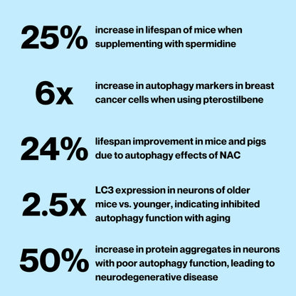Celly Autophagy Activator | Longevity Supplement for Cellular Nutrition and Healthy Aging | Promotes Cell Renewal with Spermidine, Pterostilbene, Fisetin, and NAC | Made in USA & 3rd Party Tested CellyBuy Supplements Australia