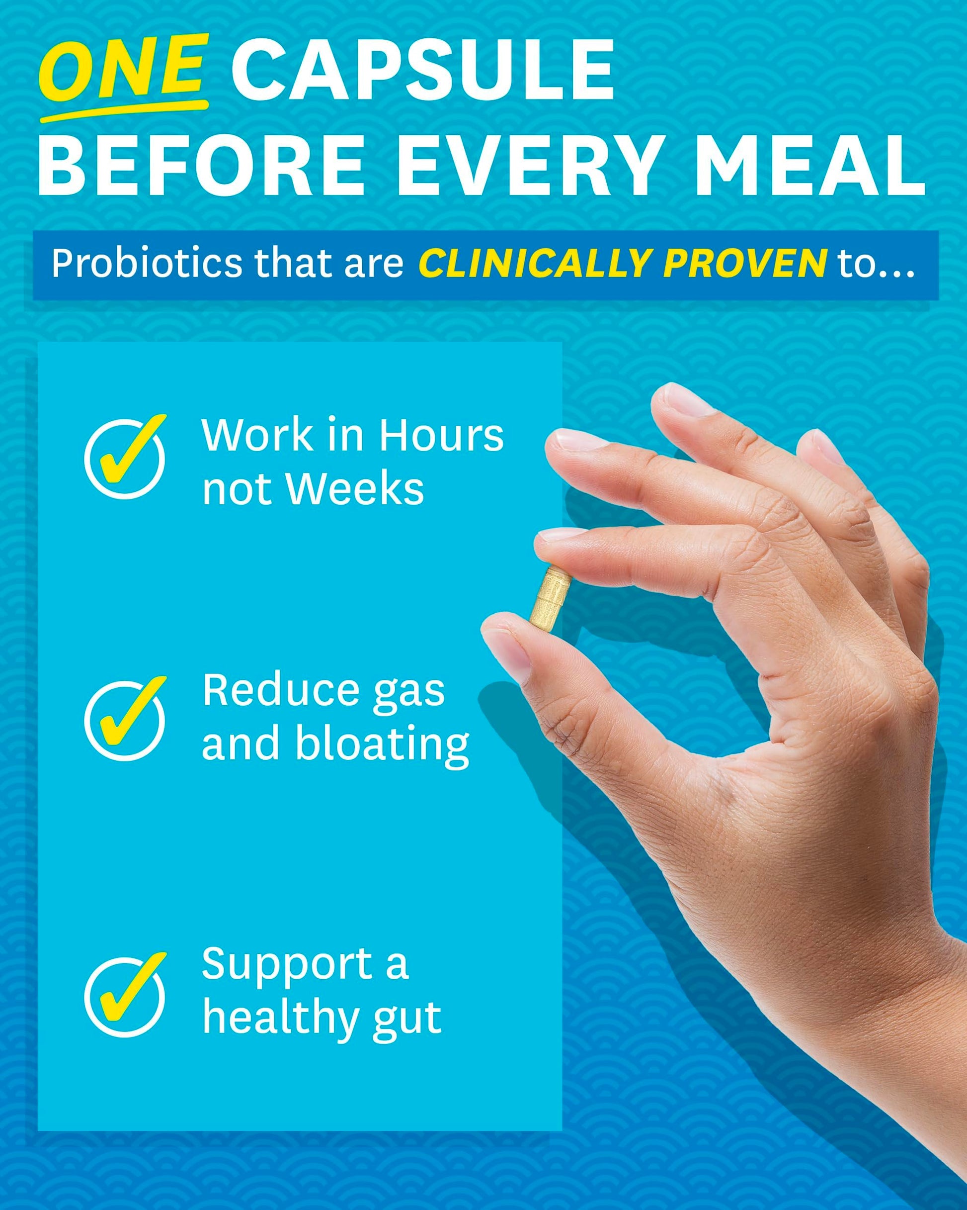 Zenwise Health Digestive Enzymes - Probiotic Multi Enzymes with Probiotics Zenwise HealthBuy Supplements Australia