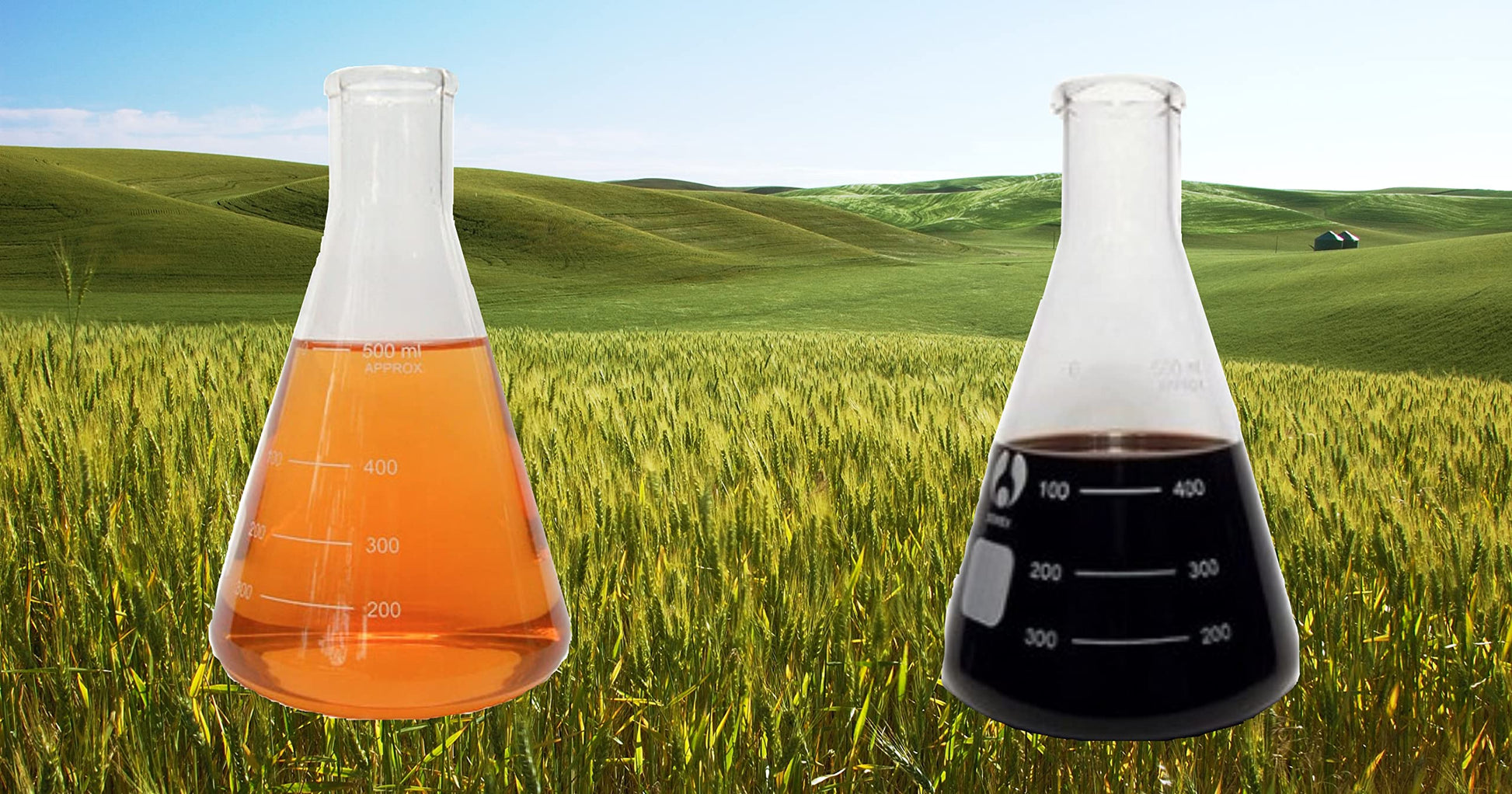 Living Foods USA ZeoHeal - Humic and Fulvic Acid Mineral Supplement 8 Fluid Ounce (2-Pack) Living Foods USABuy Supplements Australia