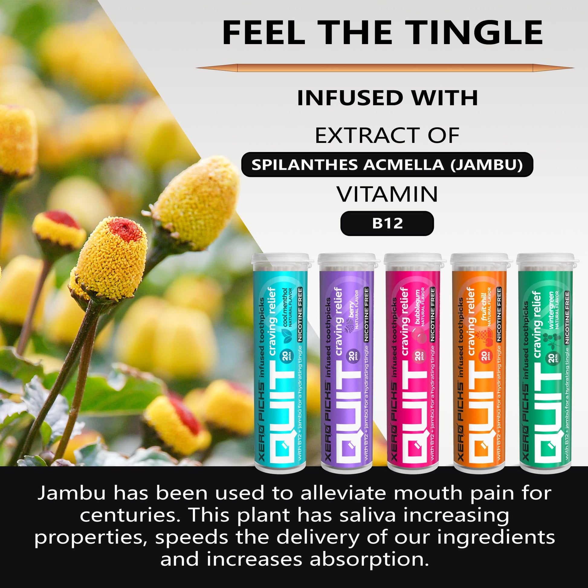 Xero Picks Infused Flavored Toothpicks to Help Quit Smoking - Nicotine Xero PicksBuy Supplements Australia