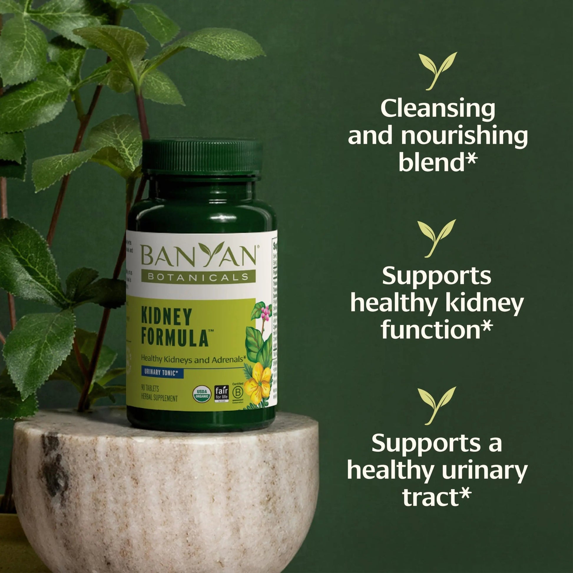 Banyan Botanicals Organic Kidney Formula–Urinary Tract Support & Detox Supplement–Gokshura & Punarnava for Fluid Balance & Systemic Cleansing–Cooling Genitourinary Tonic-90 Tablets-USDA Organic Banyan BotanicalsBuy Supplements Australia