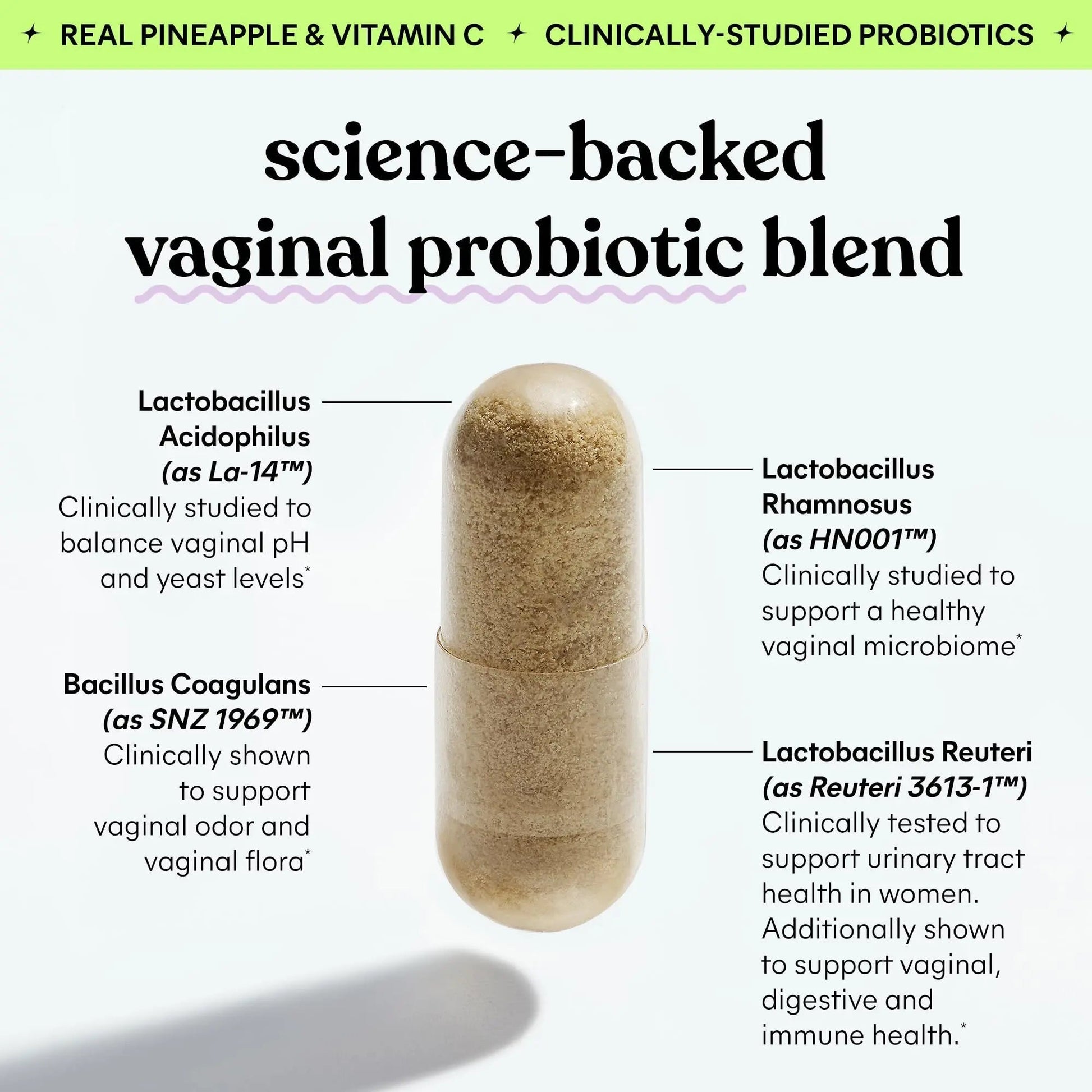 Lemme Purr Vaginal Probiotics for Women - Promotes pH Balance, Healthy Vaginal Odor & Urinary Tract Health w/Lactobacillus Blend, Clinically Tested Strains, Pineapple & Vitamin C - 60 Veggie Capsules LemmeBuy Supplements Australia
