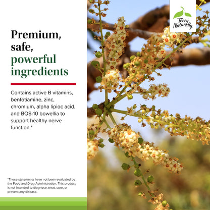 Terry Naturally Healthy Feet & Nerves - Herbal Supplement with Bioactive Vitamin B12 - Circulation & Nerve Health Support Supplement - Vegan Capsules with Boswellia Serrata - 60 Capsules Terry NaturallyBuy Supplements Australia