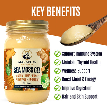Maravida Wellness Sea Moss Gel – Pineapple, Lime, Honey, Ginger & Turmeric – 100% Natural Raw Organic Irish Moss – 16oz Jar – Premium Superfood for Everyday Wellness Maravida WellnessBuy Supplements Australia