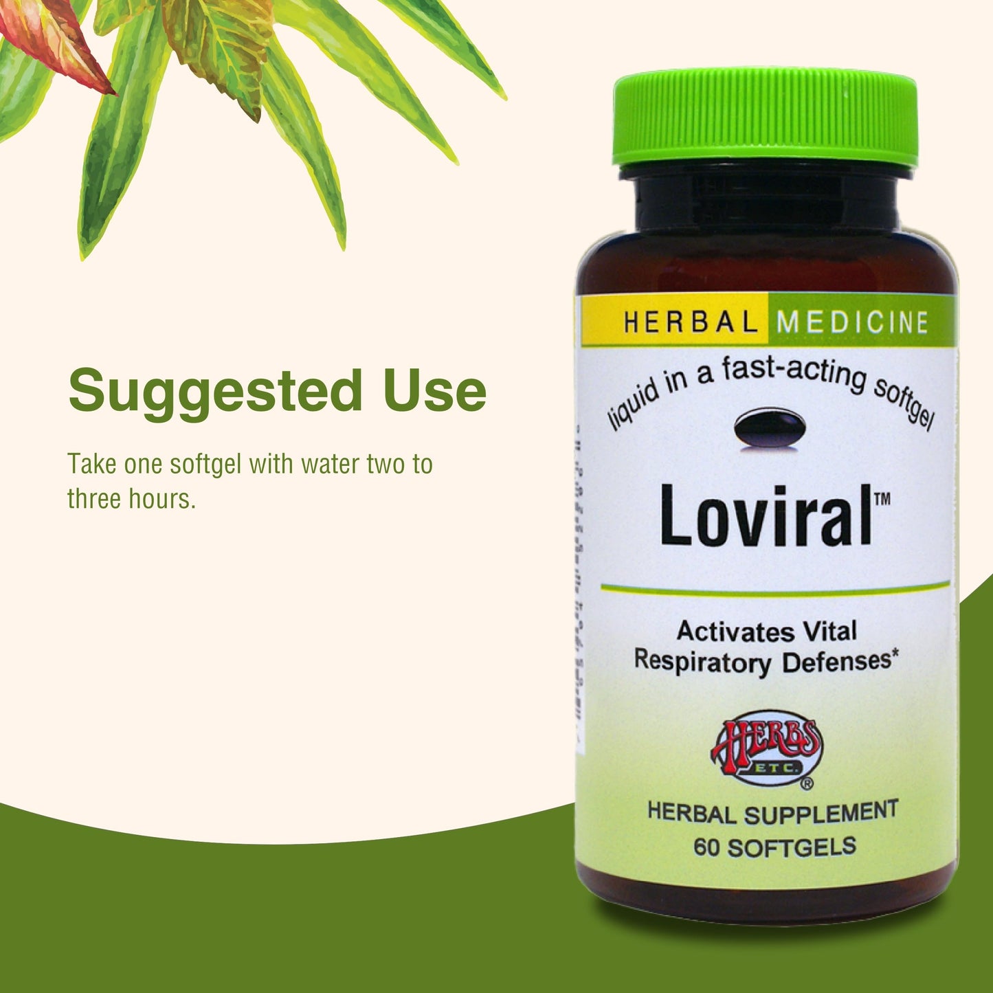 Herbs Etc. Loviral - Lung Health Supplement for Respiratory Defense & Support - Herbal Supplement with Lomatium, Pelargonium & OSHA - Gluten-Free - 60 Softgels (60 Servings) Herbs Etc.Buy Supplements Australia