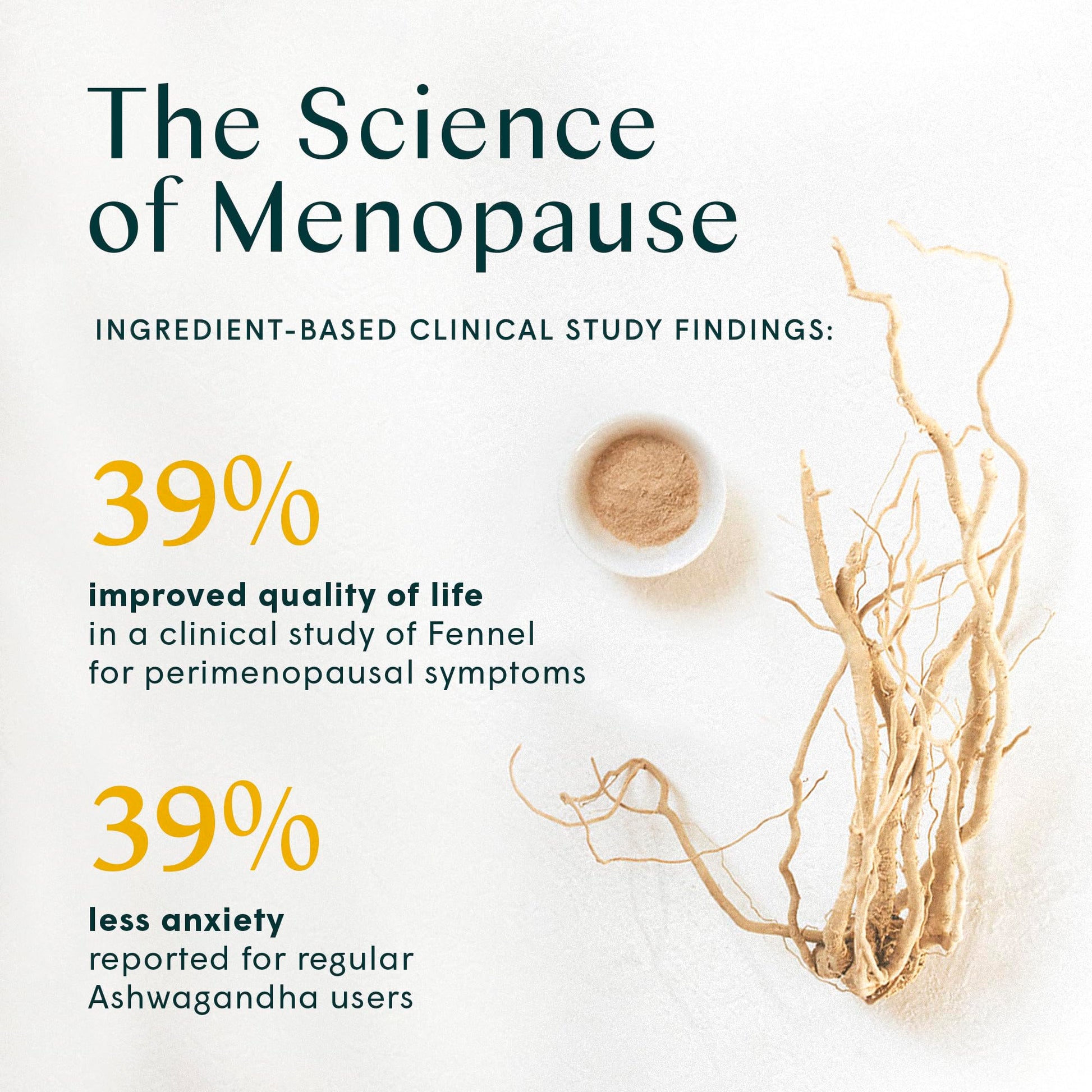 Wile Perimenopause Supplement for Women with Ashwagandha, Kudzu Root, Hops Extract WILEBuy Supplements Australia