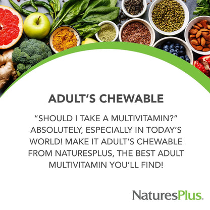 Natures Plus Adult's Chewable Multivitamin - 90 Vegetarian Tablets - Pineapple Flavor - Natural Whole Foods Supplement for Overall Health, Energy NaturesPlusBuy Supplements Australia