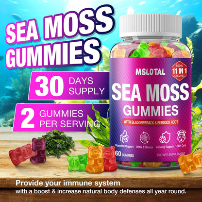 MSLOTAL Irish Sea Moss Gummies with Ashwagandha Bladderwrack and Burdock Root - Natural Irish Seamoss Supplement for Thyroid, Energy, Immune Support - 60 Vegan Gummy MSLOTALBuy Supplements Australia