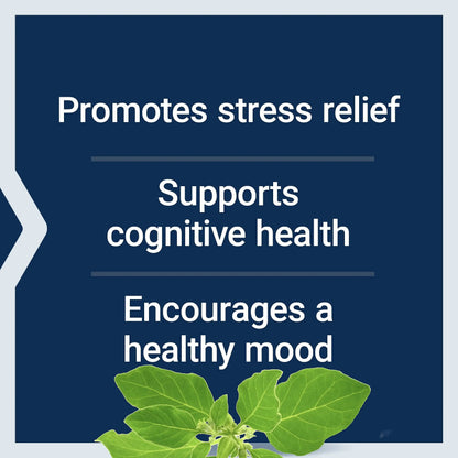 Life Extension Two-Per-Day 120 Tablet Multi-Vitamin & 60 Capsule Optimized Ashwagandha Stress Relief Supplement Bundle Life ExtensionBuy Supplements Australia