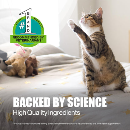 Nutramax Laboratories Dasuquin Joint Health Supplement for Cats - With Glucosamine, Chondroitin, ASU, Boswellia Serrata Extract, and Green Tea Extract, 84 Capsules Nutramax LaboratoriesBuy Supplements Australia