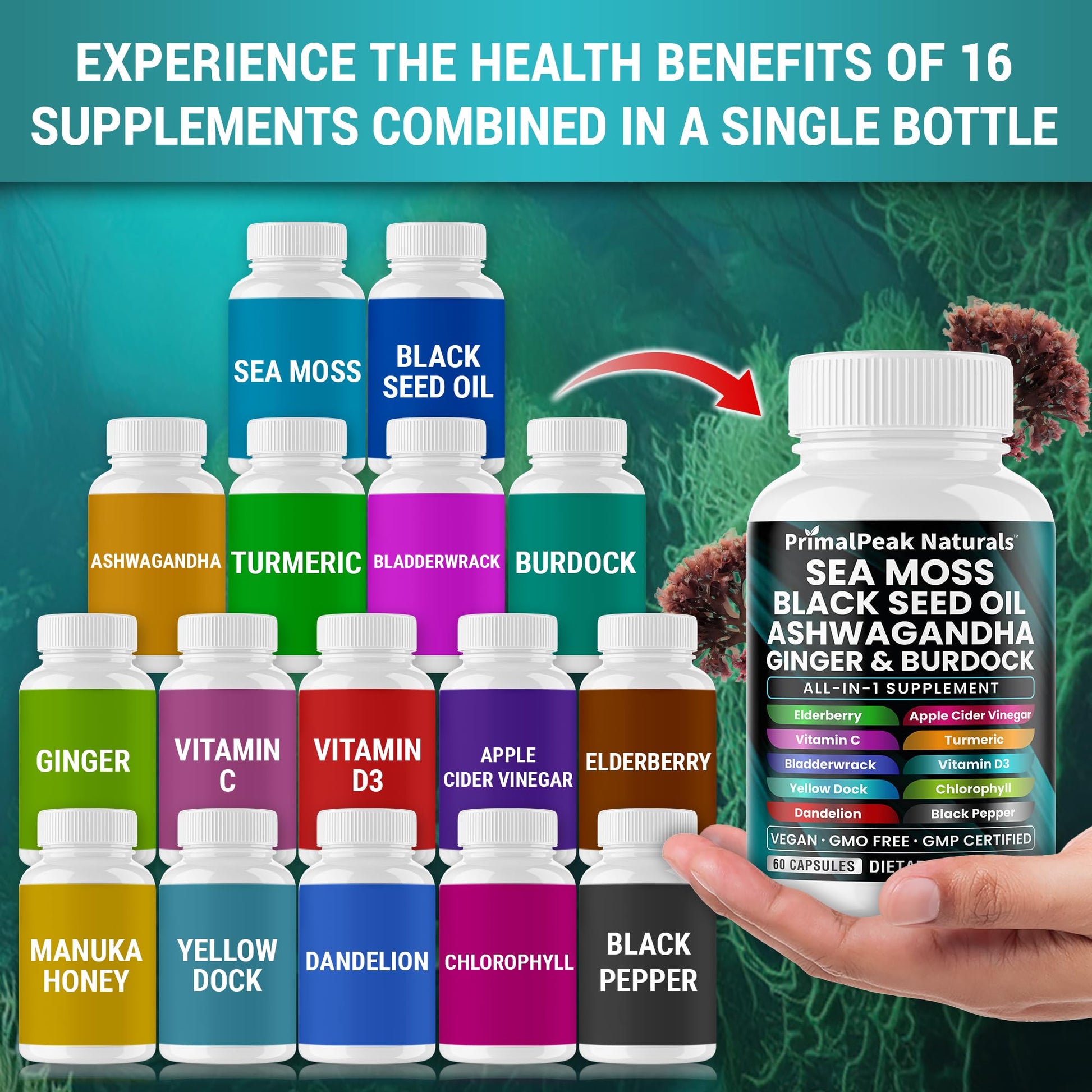 PrimalPeak Naturals Sea Moss Black Seed Oil Ashwagandha Ginger Burdock Bladderwrack Turmeric & Vitamin C Vitamin D3 with ACV Elderberry Chlorophyll Dandelion Yellow Dock Vegan Capsules - 60 Count PrimalPeak NaturalsBuy Supplements Australia