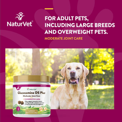 NaturVet – Glucosamine DS Plus - Level 2 Moderate Care – Supports Healthy Hip & Joint Function – Enhanced with Glucosamine, MSM & Chondroitin – for Dogs & Cats–120 Soft Chews NaturVetBuy Supplements Australia