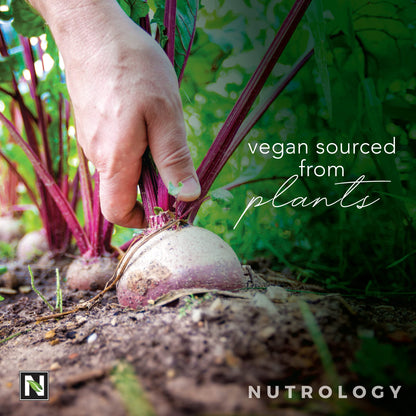 Nutrology Beet Natural O2, Pre Workout Powder, Energy, Endurance; Nitric Oxide Booster NutrologyBuy Supplements Australia