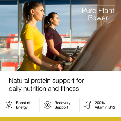 Dr. Schulze's SuperProtein Plus - Plant-Based Protein Powder - Active Lifestyle Supplement - Supports Muscle Health - Drink Mix - Gluten-Free & Vegan - 19 oz (20 Servings) Dr. Schulze'sBuy Supplements Australia