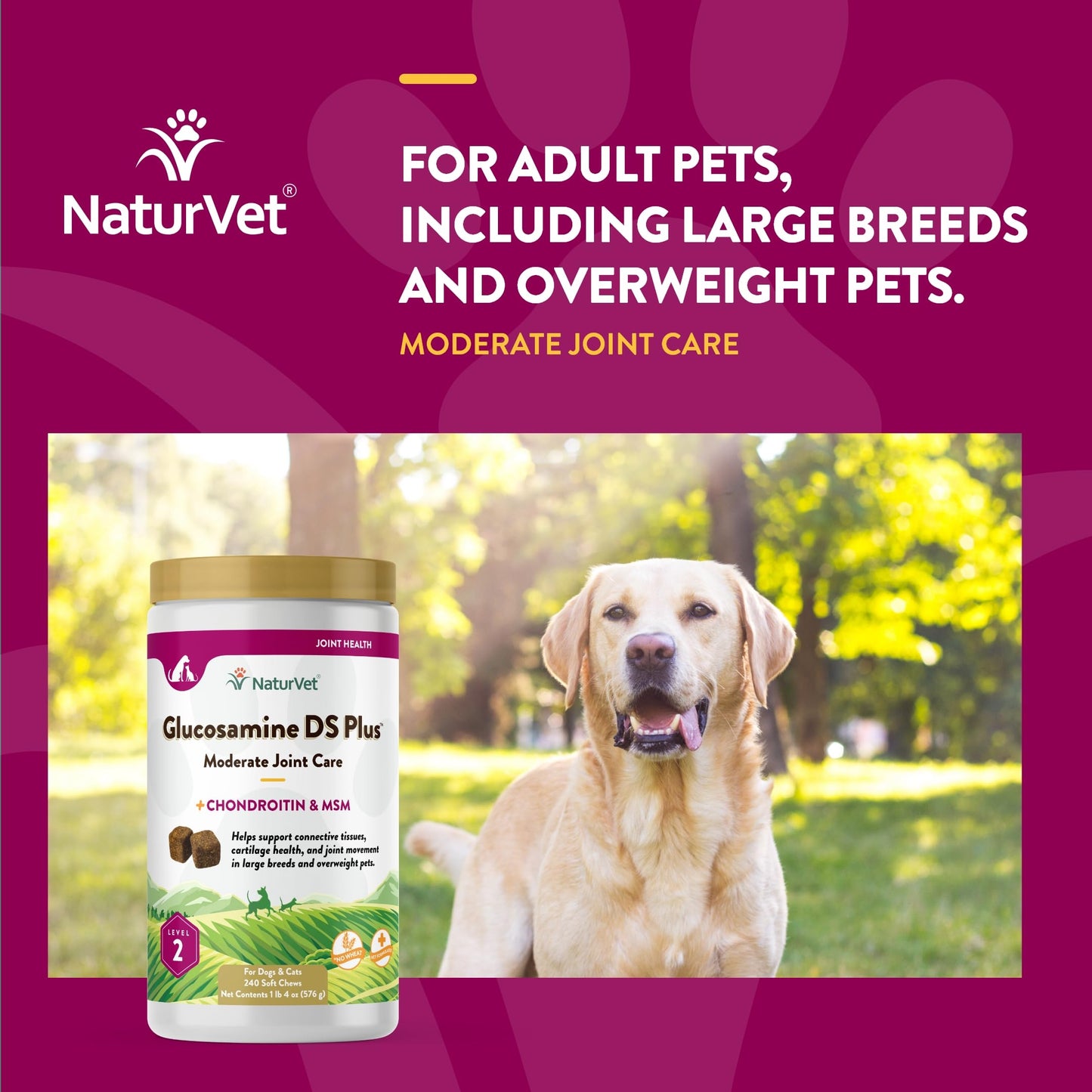 NaturVet – Glucosamine DS Plus - Level 2 Moderate Care – Supports Healthy Hip & Joint Function – Enhanced with Glucosamine, MSM & Chondroitin – for Dogs & Cats – 240 Soft Chews NaturVetBuy Supplements Australia