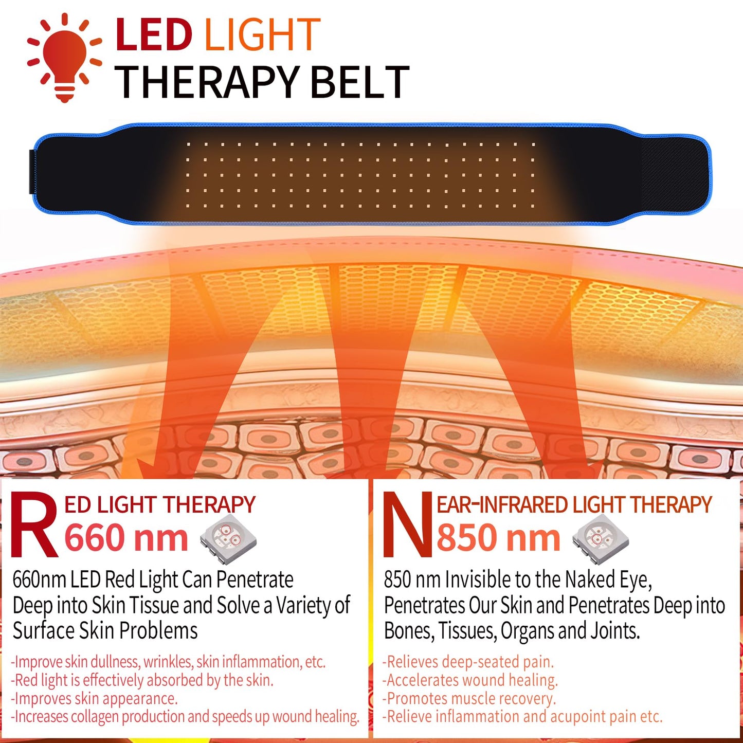 Red Light Therapy Belt, Infrared Light Therapy Red Light Therapy Device, Infrared Light Therapy Wrap LoqumloiBuy Supplements Australia