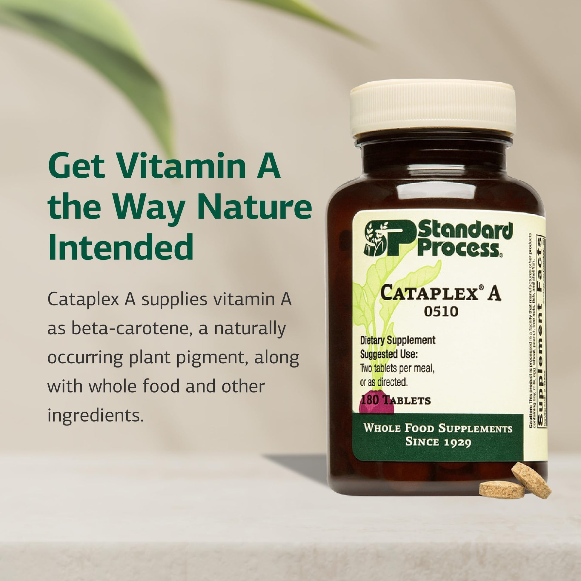 Standard Process Cataplex A - Supports Eye Health & Mucous Membranes - Supports Healthy Vision & Provides Antioxidant Vitamin A - Non-Dairy & Non-Soy - 180 Tablets Standard Process Inc.Buy Supplements Australia