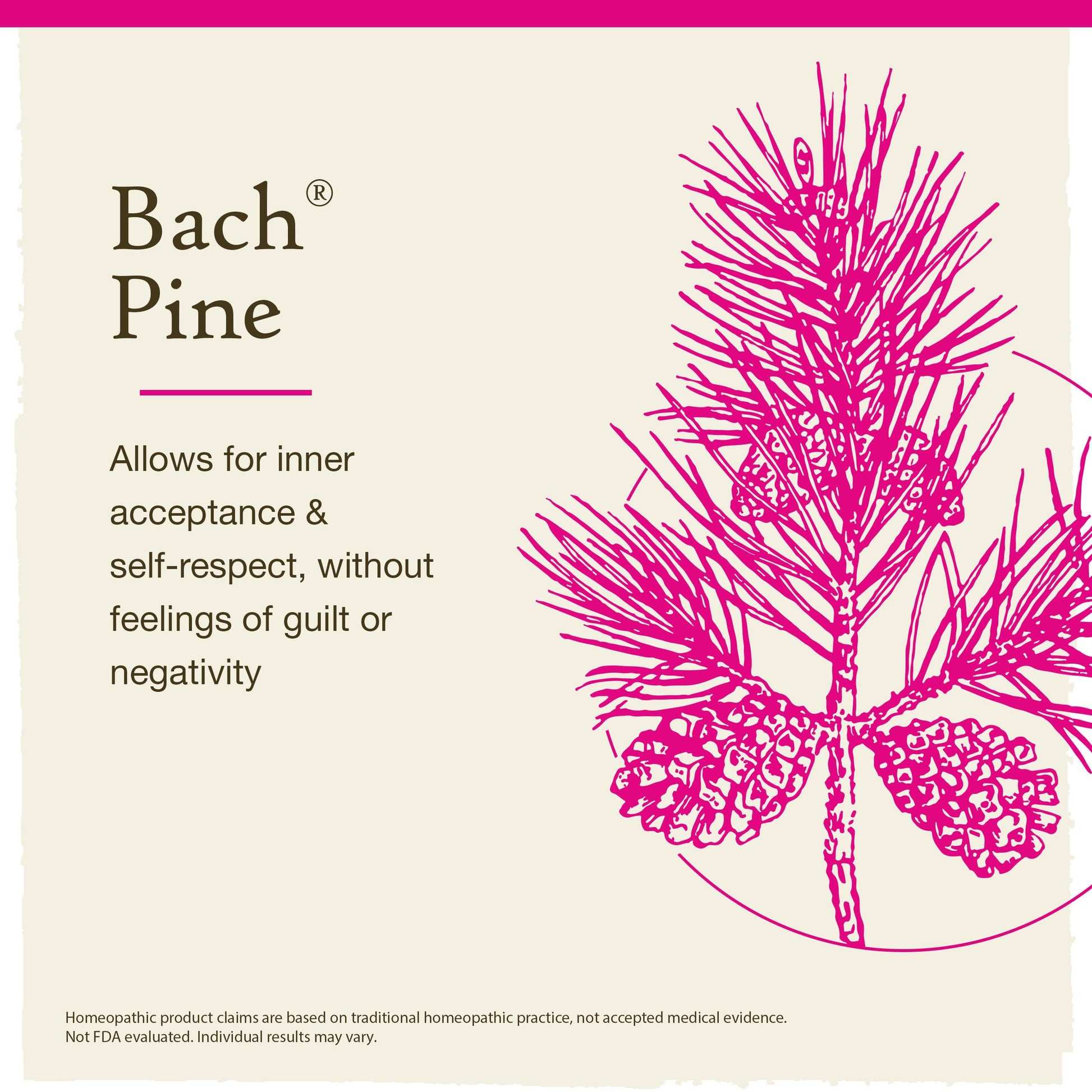 Bach Original Flower Remedies, Pine for Self Respect, Natural Homeopathic Flower Essence BachBuy Supplements Australia
