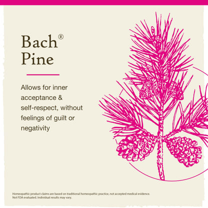Bach Original Flower Remedies, Pine for Self Respect, Natural Homeopathic Flower Essence BachBuy Supplements Australia