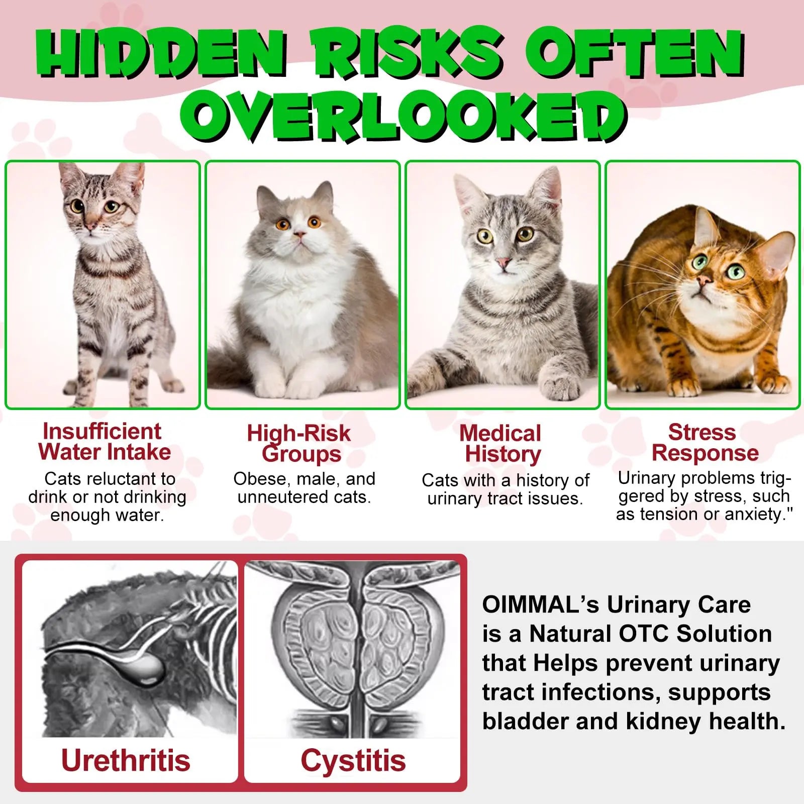 Cat Urinary Tract Infection Treatment, Cat UTI Treatment Drops Supports Bladder, Kidney Stone, Cranberry Kidney Bladder Support Supplement, Chicken Flavor, 60ml BTQAFVZTBuy Supplements Australia