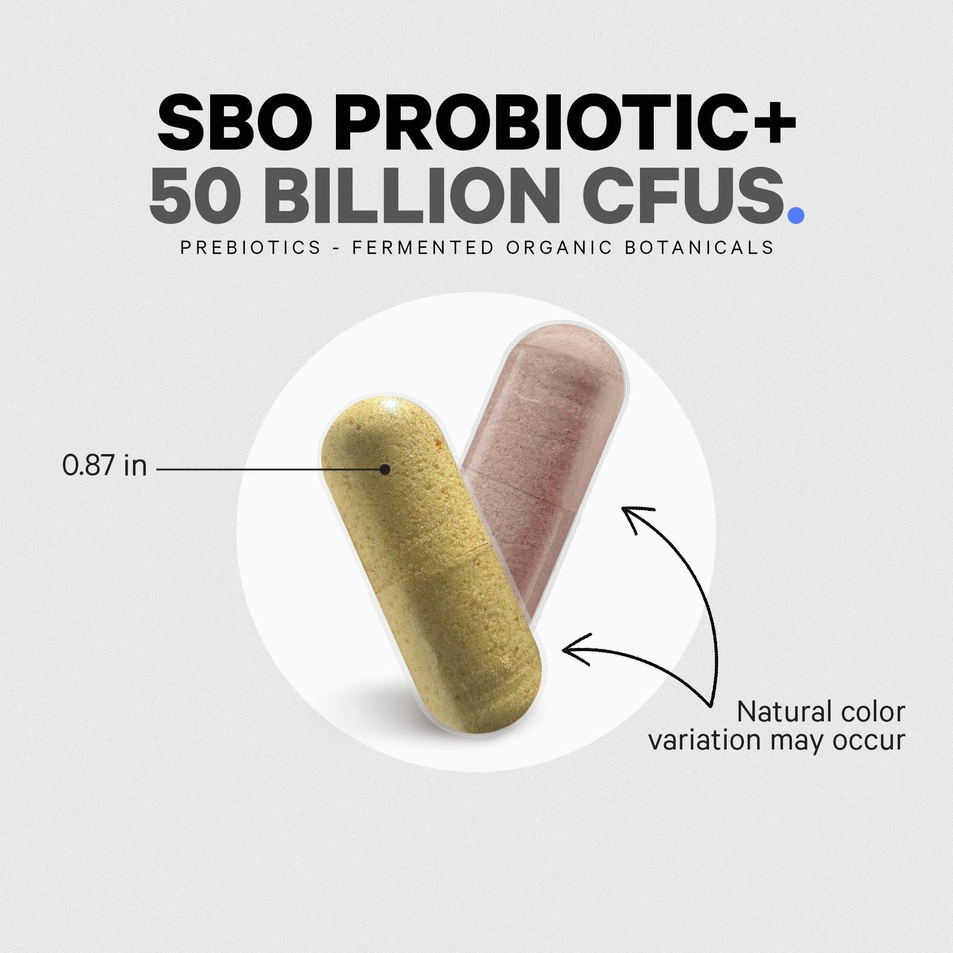 Codeage SBO Probiotics, 50 Billion CFUs Per Serving, Multi Strain Soil Based Organisms Blend and Organic Fermented Botanical Blend, Shelf-Stable, 90 Capsules CodeageBuy Supplements Australia