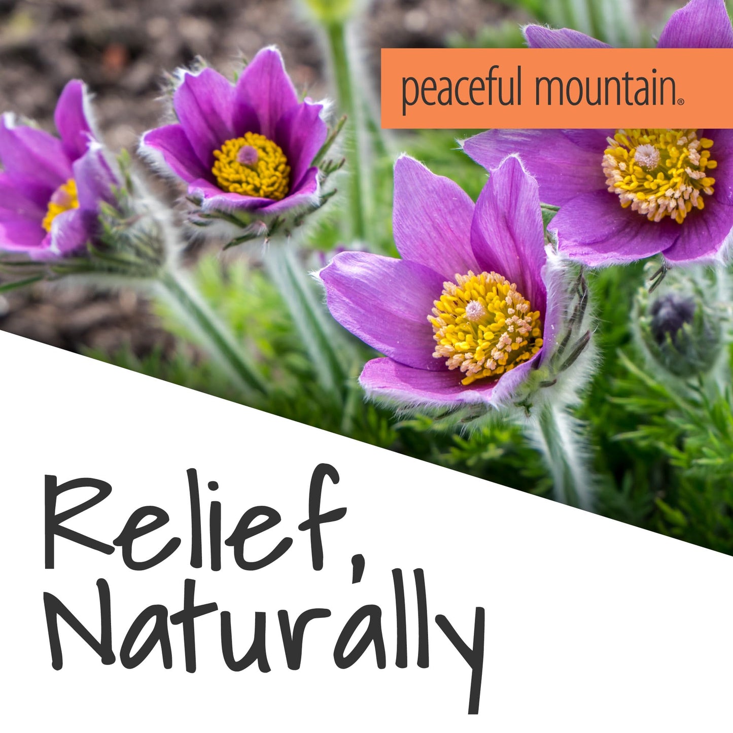 Peaceful Mountain Muscle Rescue Homeopathic Gel - for Muscle discomfort with Arnica and Comfrey - 2oz Peaceful MountainBuy Supplements Australia