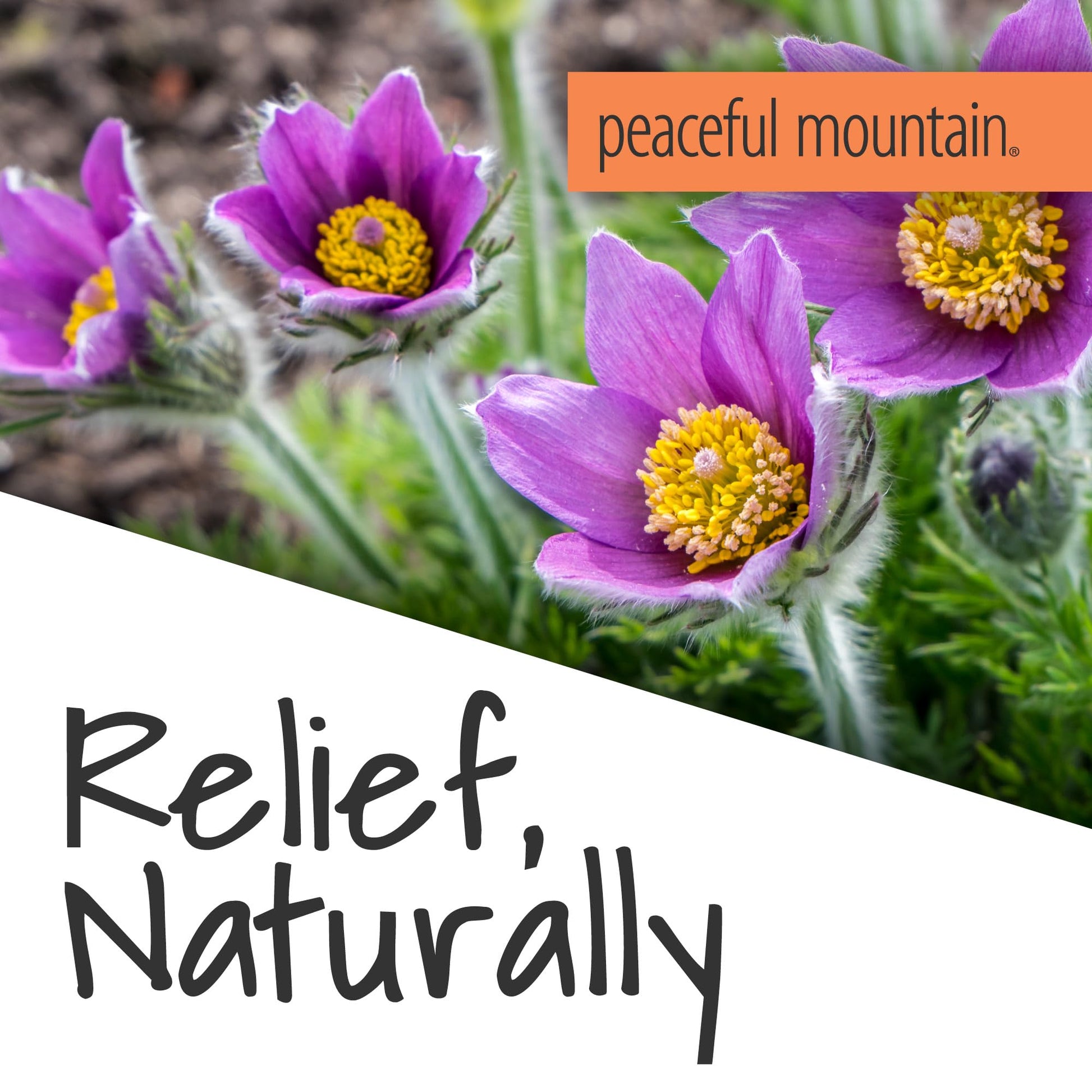 Peaceful Mountain Muscle Rescue Homeopathic Gel - for Muscle discomfort with Arnica and Comfrey - 2oz Peaceful MountainBuy Supplements Australia