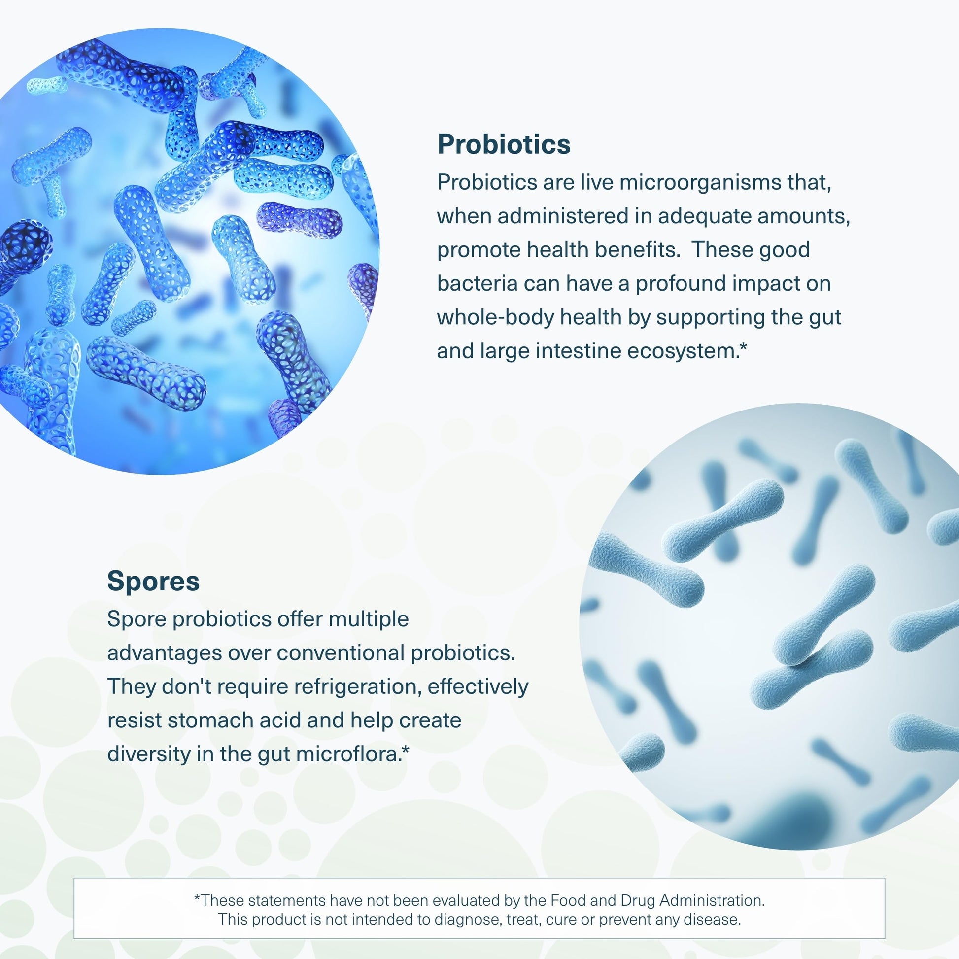 Youtheory Spore Probiotic - Helps Gut Health* - 6 Billion CFU with Prebiotics - Supports Regular Bowel Movement & Diarrhea Relief* - Shelf Stable - 60 Vegetarian Capsules (30-Day Supply) YoutheoryBuy Supplements Australia
