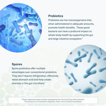 Youtheory Spore Probiotic - Helps Gut Health* - 6 Billion CFU with Prebiotics - Supports Regular Bowel Movement & Diarrhea Relief* - Shelf Stable - 60 Vegetarian Capsules (30-Day Supply) YoutheoryBuy Supplements Australia