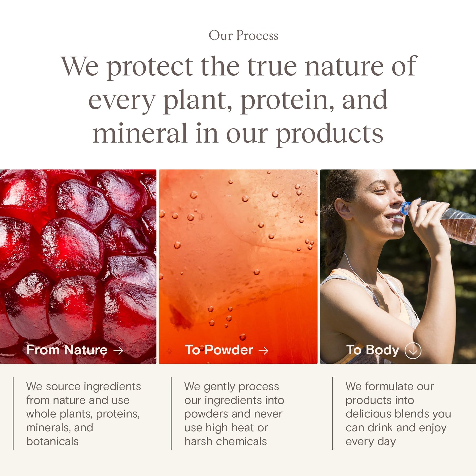 Yoli® Truth Antioxidant and Immune Support Supplement with Vitamin C, Botanicals, Superfruits, and Minerals - Pomegranate, 30 Packets YoliBuy Supplements Australia