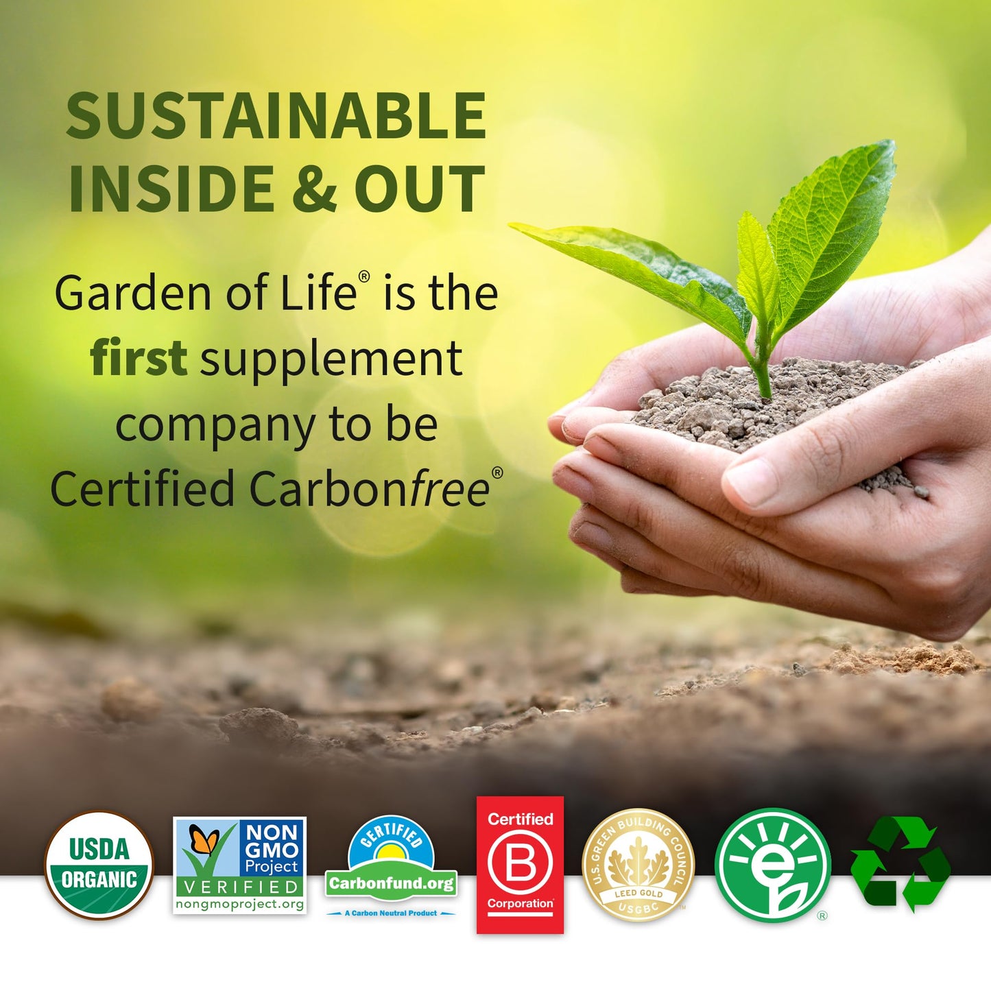 Garden of Life Vegan Protein Powder - Raw Organic Meal Replacement