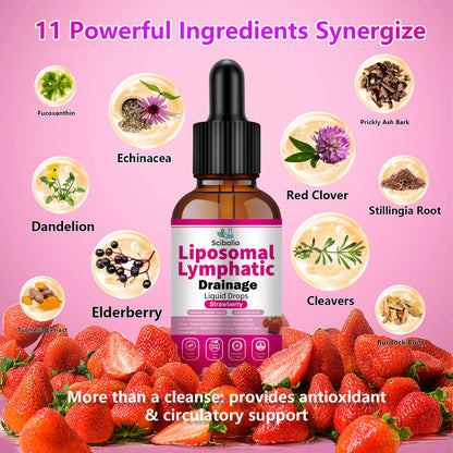 Scibalia Liposomal Lymphatic Drainage Drops, 11-in-1 Organic Lymphatic Support with Red Clover Echinacea Elderberry Burdock Root for Lymph Cleanse Immune Support & Daily Detox Vegan Non-GMO ScibaliaBuy Supplements Australia