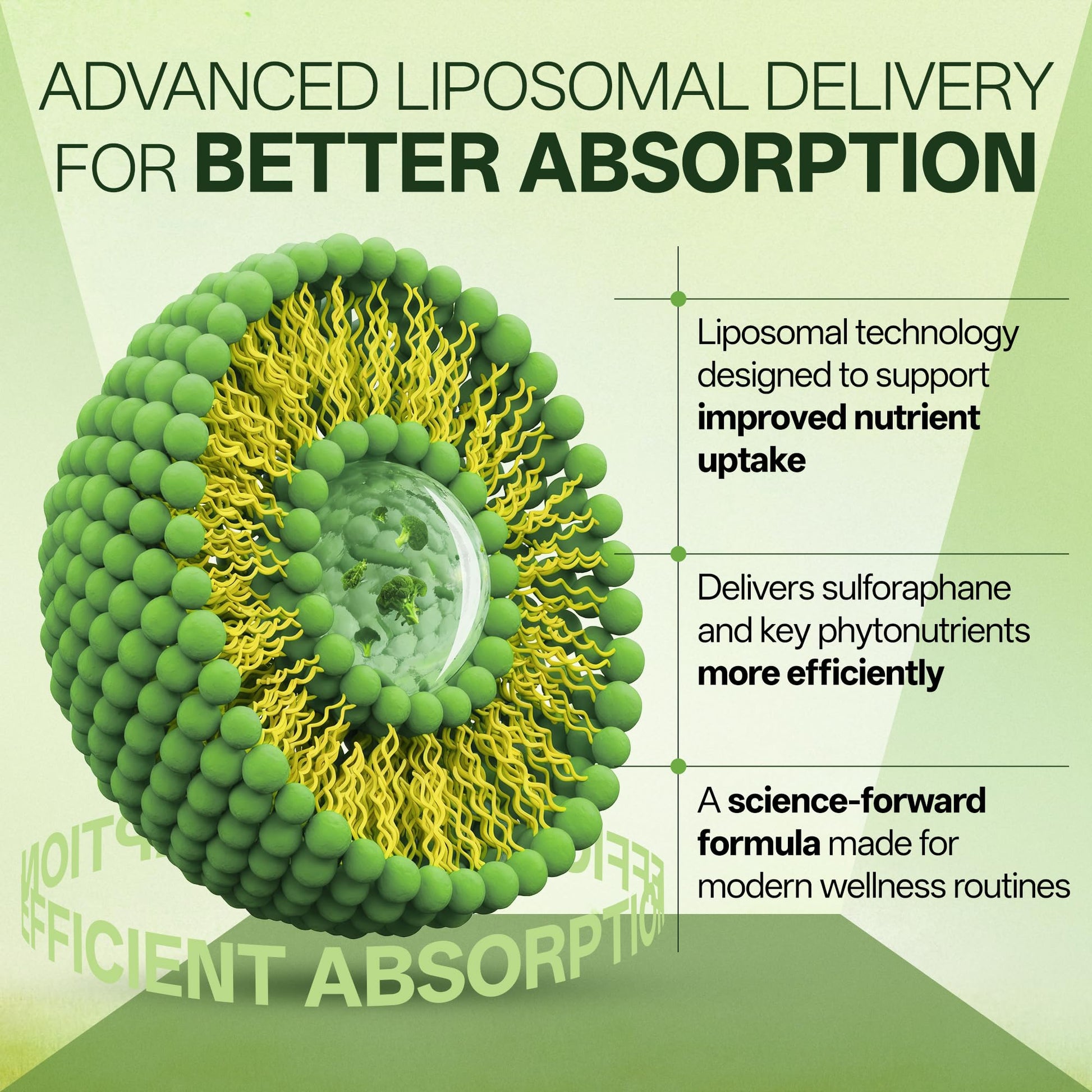 Liposomal Sulforaphane 500mg Supplement from Broccoli Extract with Quercetin, Black Pepper & Vitamin C – Antioxidant, Detox & Cellular Support, Cellular Health Formula for Men & Women, 60 Capsules inGreensBuy Supplements Australia