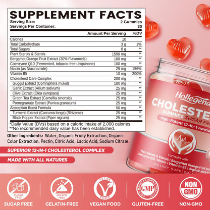 HOLLEGEND Cholesterol Supplements Gummies Sugar Free, 1500mg Plant Sterols for Cholesterol Health, Plus Citrus Bergamot, CoQ10 & Vitamins for Heart Health, Vegan, Mixed Berry Flavor, 60 Chewables HOLLEGENDBuy Supplements Australia