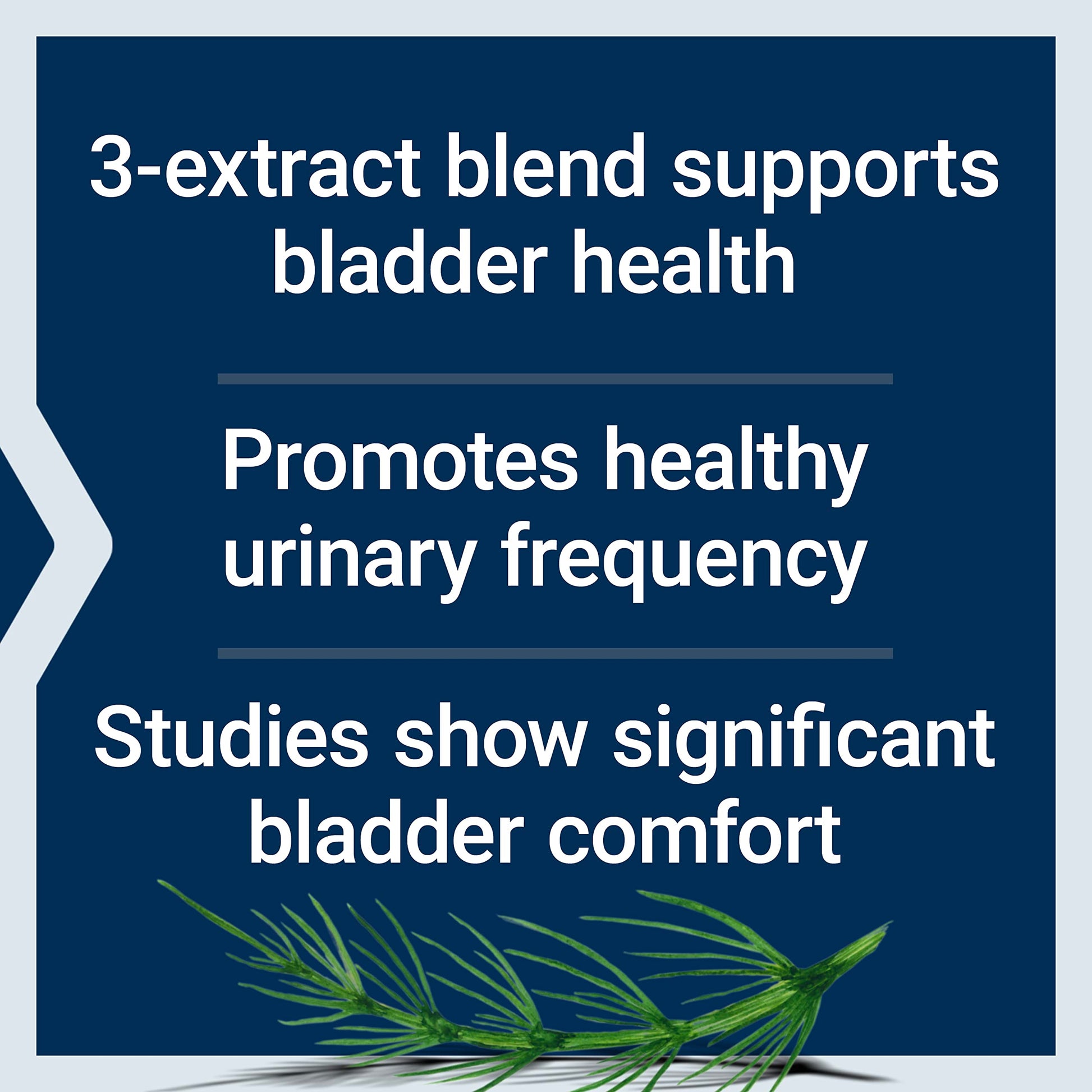 Life Extension Women's Bladder Support – for Bladder Health and Normal Urinary Frequency – Horsetail, Lindera and Three-Leaf Caper Extracts – Non-GMO – Gluten Free — 60 Vegetarian Capsules Life ExtensionBuy Supplements Australia
