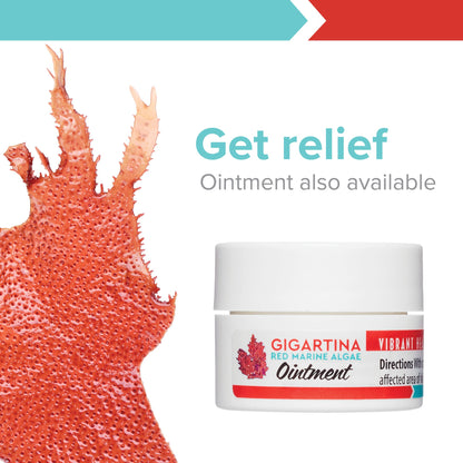 Vibrant Health, Gigartina Red Marine Algae, Plant-Based Immune Support, 60 Capsules Vibrant HealthBuy Supplements Australia