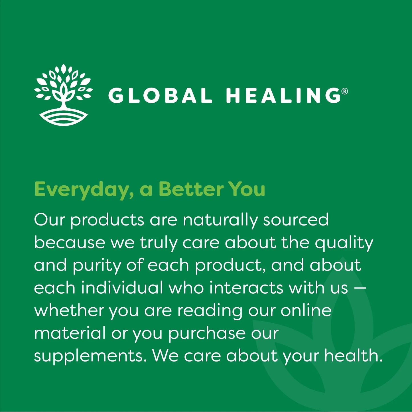Global Healing Center - Vitamin B12 5000 mcg, Organic Sublingual Liquid Drops | 3-in-1 Methylcobalamin, Adenosylcobalamin, Hydroxo Blend, 1 Fl Oz (2-Pack) Global Healing CenterBuy Supplements Australia