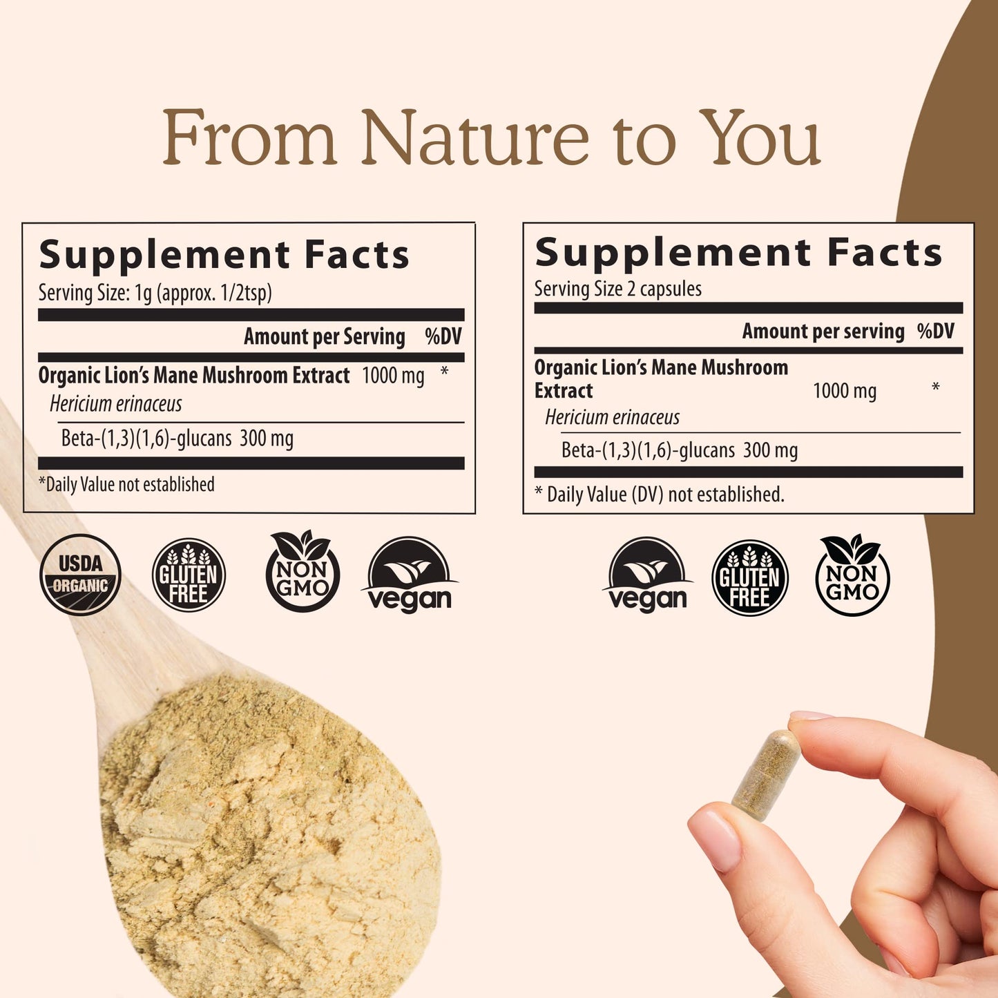 Real Mushrooms Lion’s Mane Capsules - Organic Lions Mane Mushroom Extract Real MushroomsBuy Supplements Australia