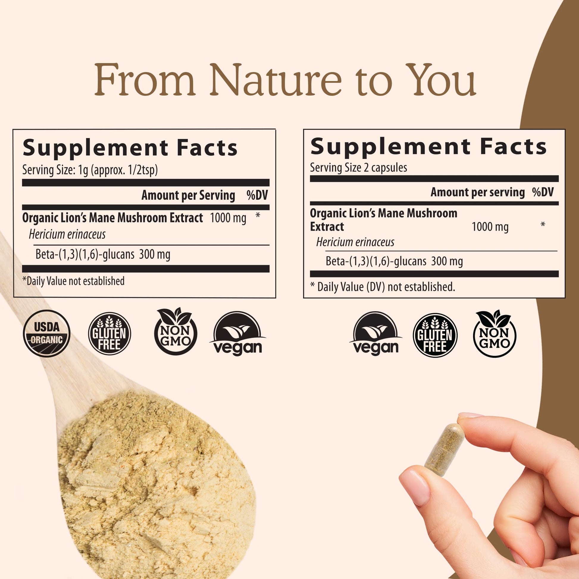 Real Mushrooms Lion’s Mane Capsules - Organic Lions Mane Mushroom Extract Real MushroomsBuy Supplements Australia