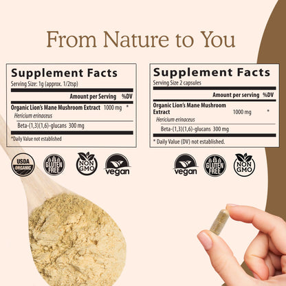 Real Mushrooms Lion’s Mane Capsules - Organic Lions Mane Mushroom Extract Real MushroomsBuy Supplements Australia