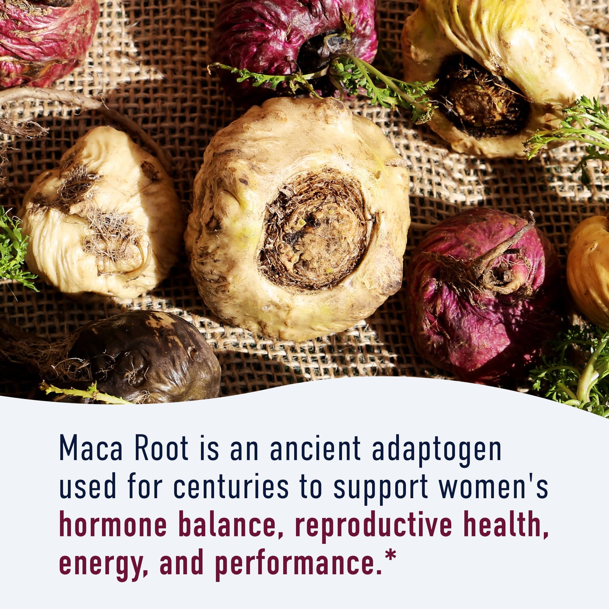Organic Maca Root Capsules for Women | 2250MG Extra Strength | Red, Black & Yellow SMNutritionBuy Supplements Australia